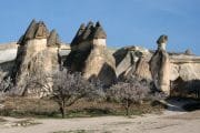 Cappadocia Tour - Pasabagi monks valley